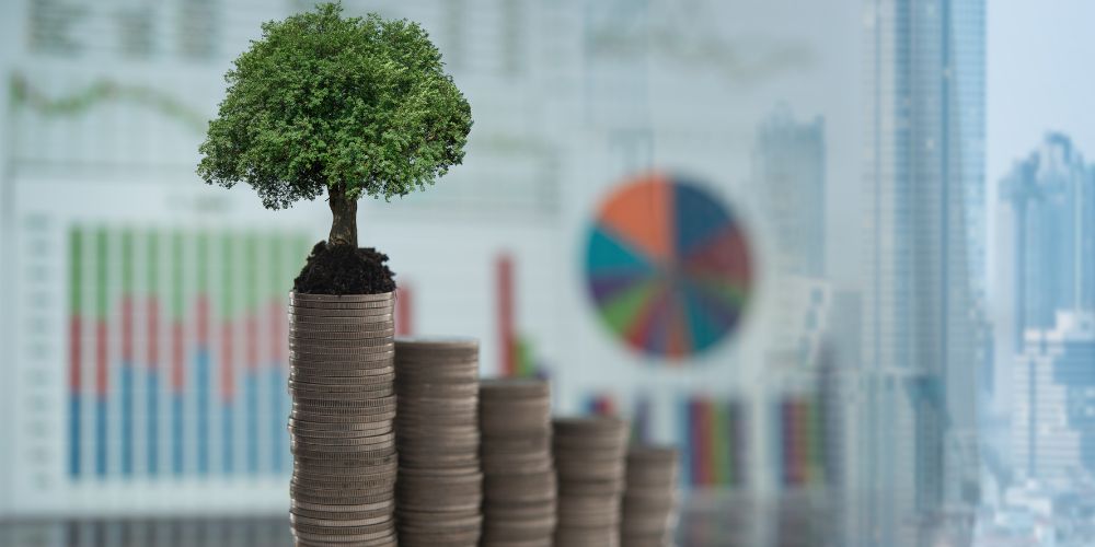 Why Mauritius is becoming a regional leader in climate-smart financial regulation