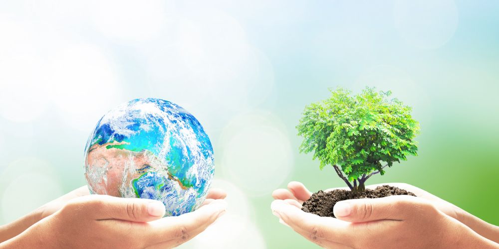 Mauritius’ Biodiversity Stewardship Platform: A new chapter in green investment